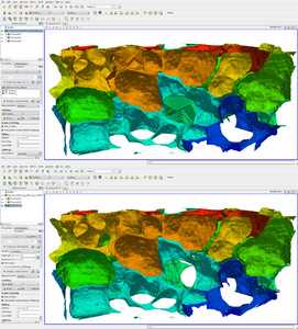 Publication cover image